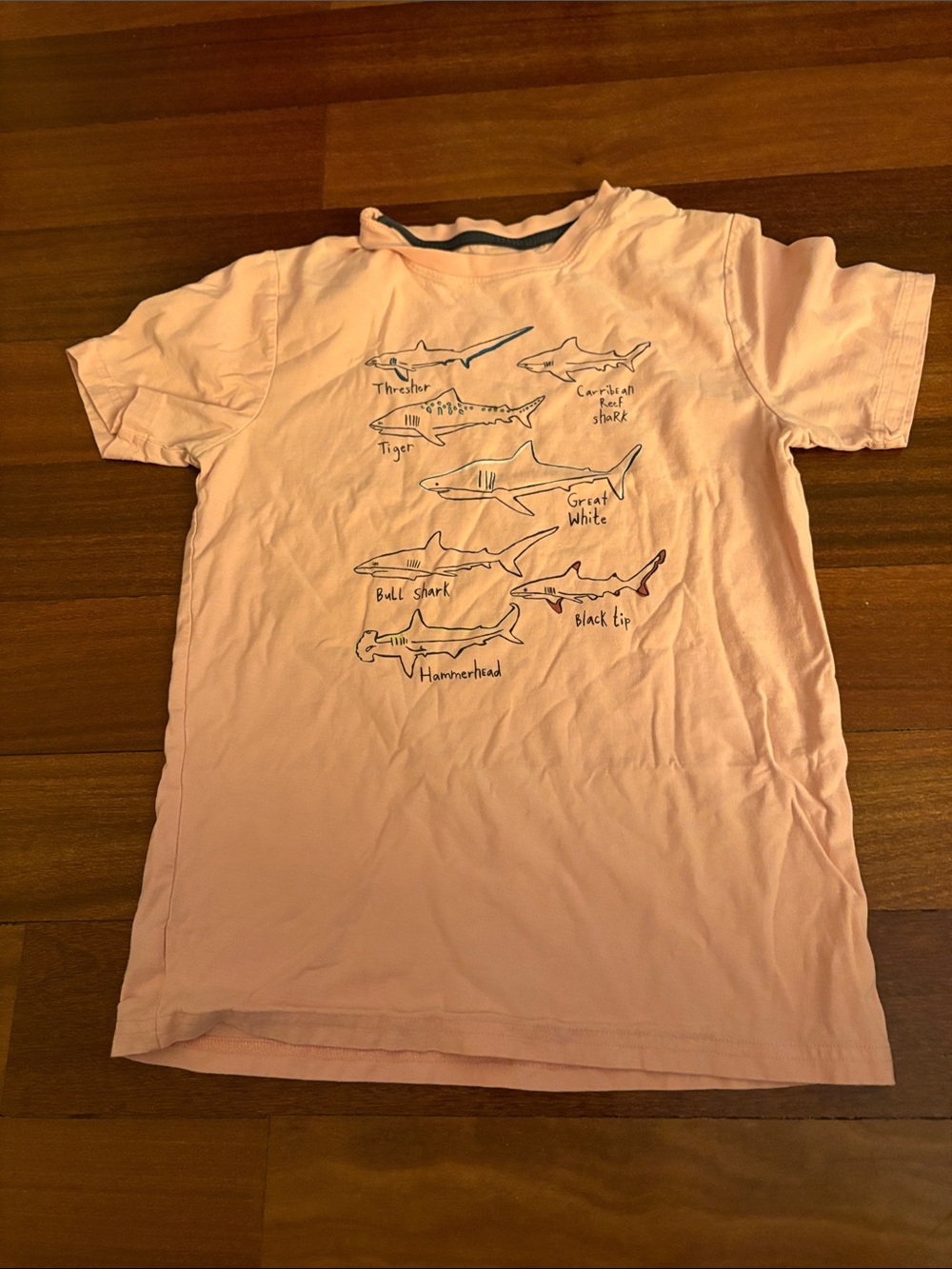 Tea Collection Light Pink Shark Diagram Short Sleeve Tee